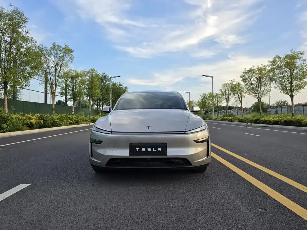 Tesla Model Y L — миниатюра 2