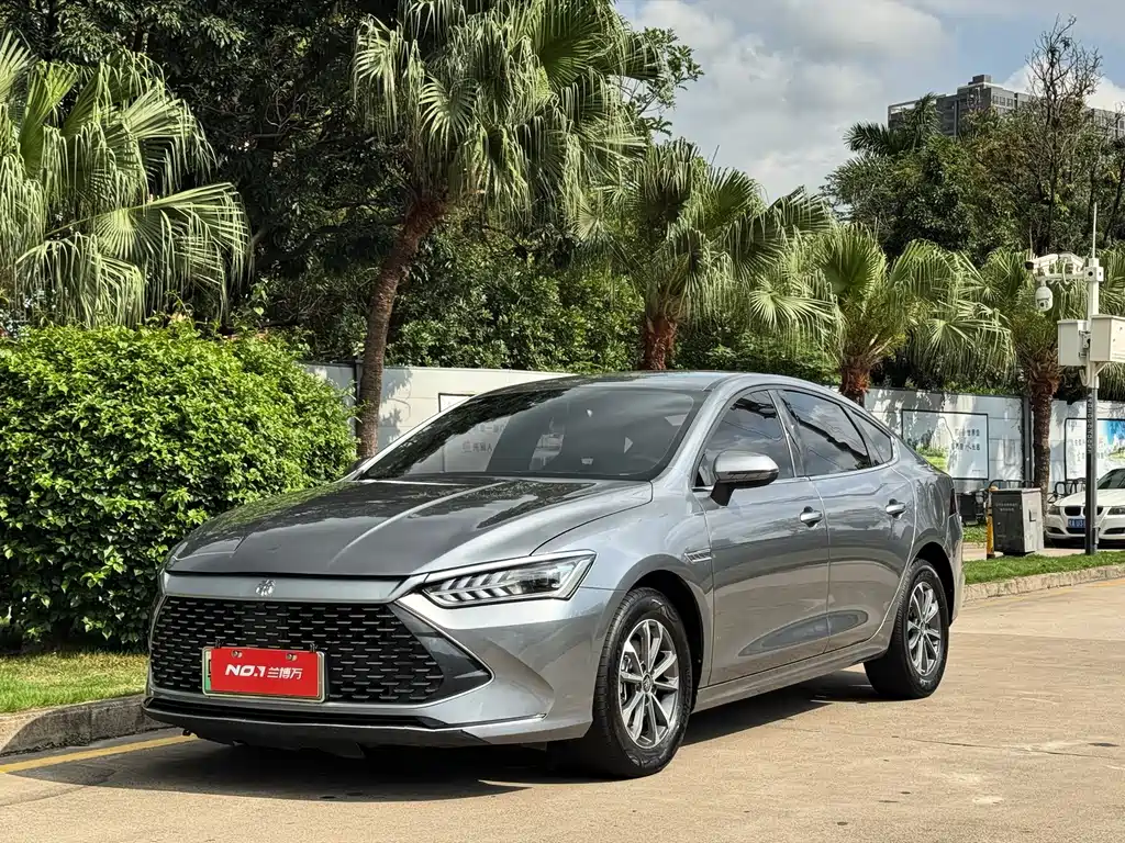 Byd Qin PLUS 2024