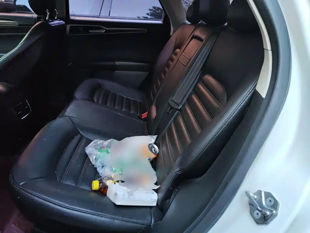 Ford Mondeo — миниатюра 13