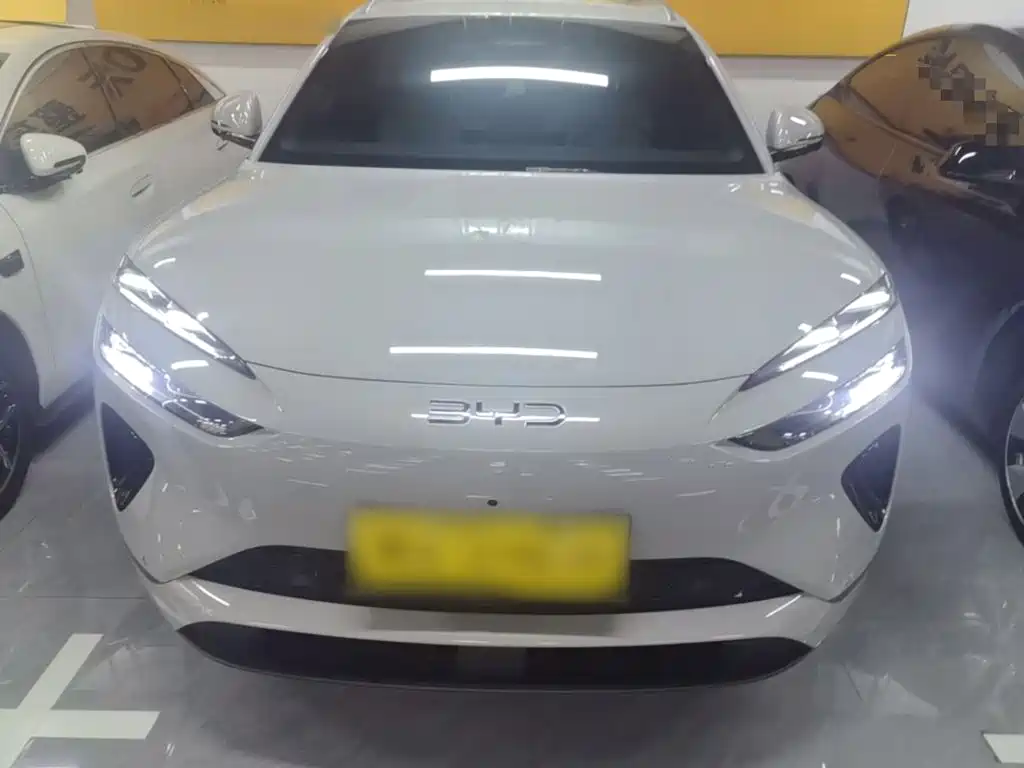 BYD Haisi 06 — миниатюра 3