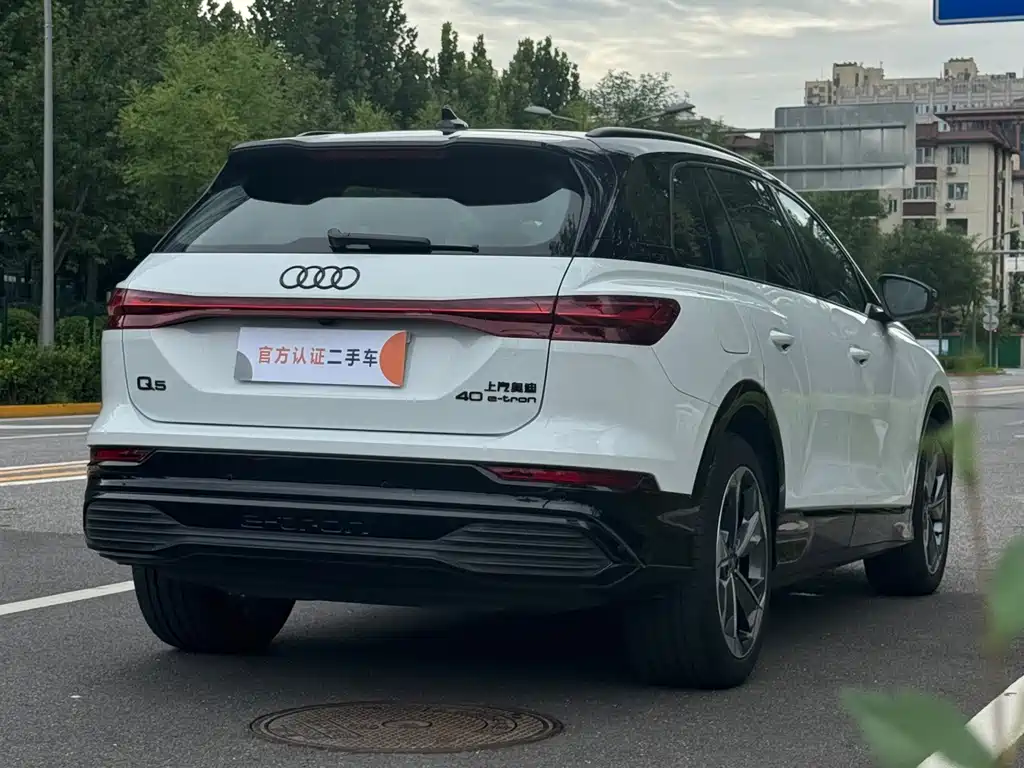 Audi Q5 e-tron — миниатюра 6