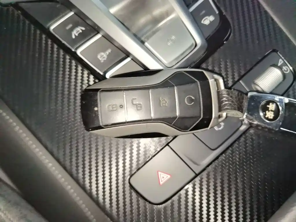 BYD Pro — миниатюра 9