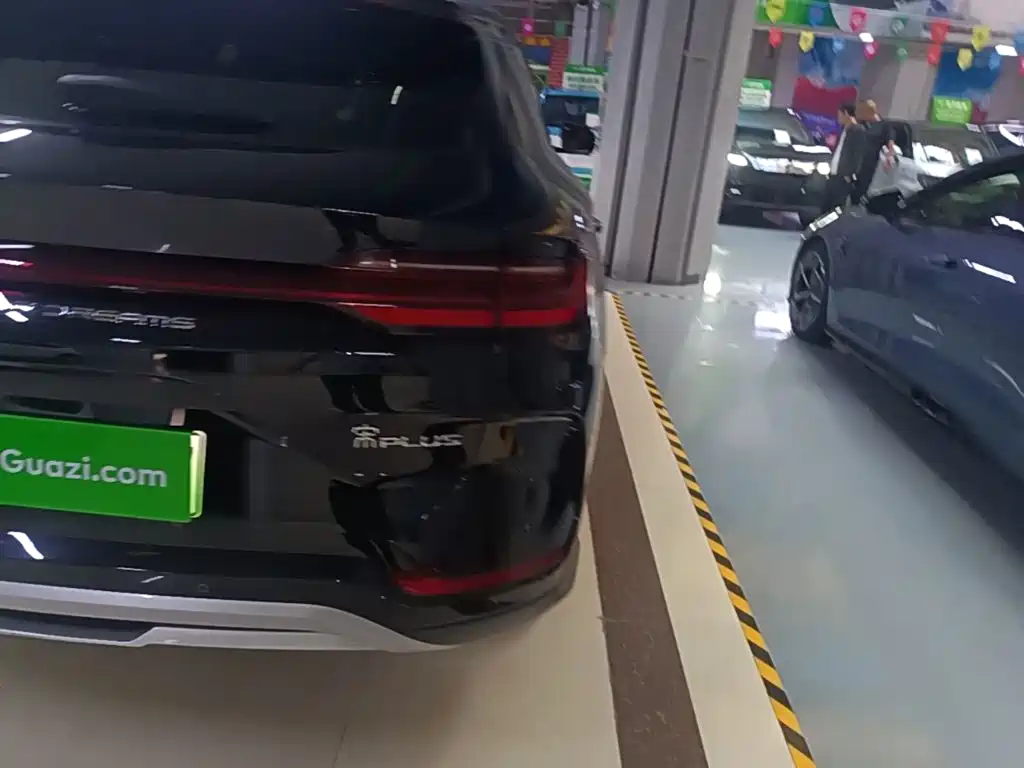 BYD PLUS New Energy — миниатюра 8