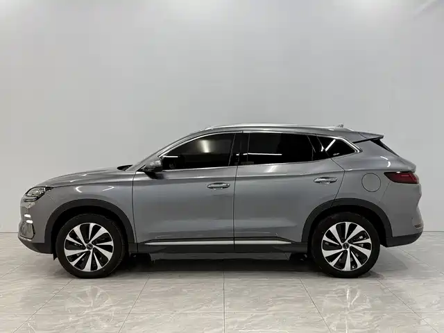 BYD SONGJIANG NEW ENERGY