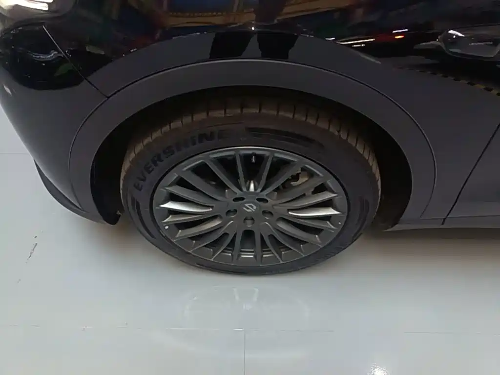 Leapmotor Leapmotor C11 — миниатюра 23