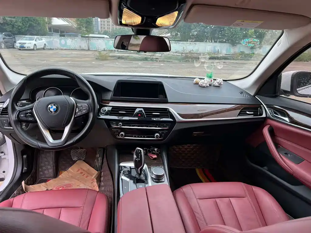 BMW 5 Series — миниатюра 5