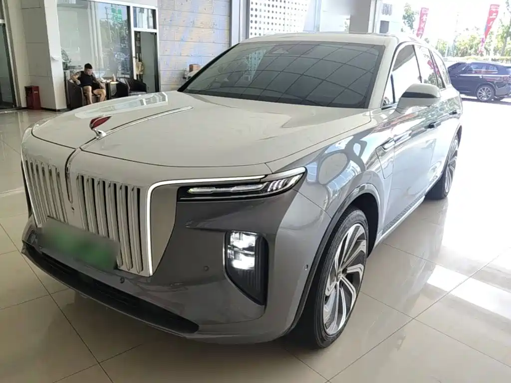 Hongqi Hongqi E-HS9 — миниатюра 2