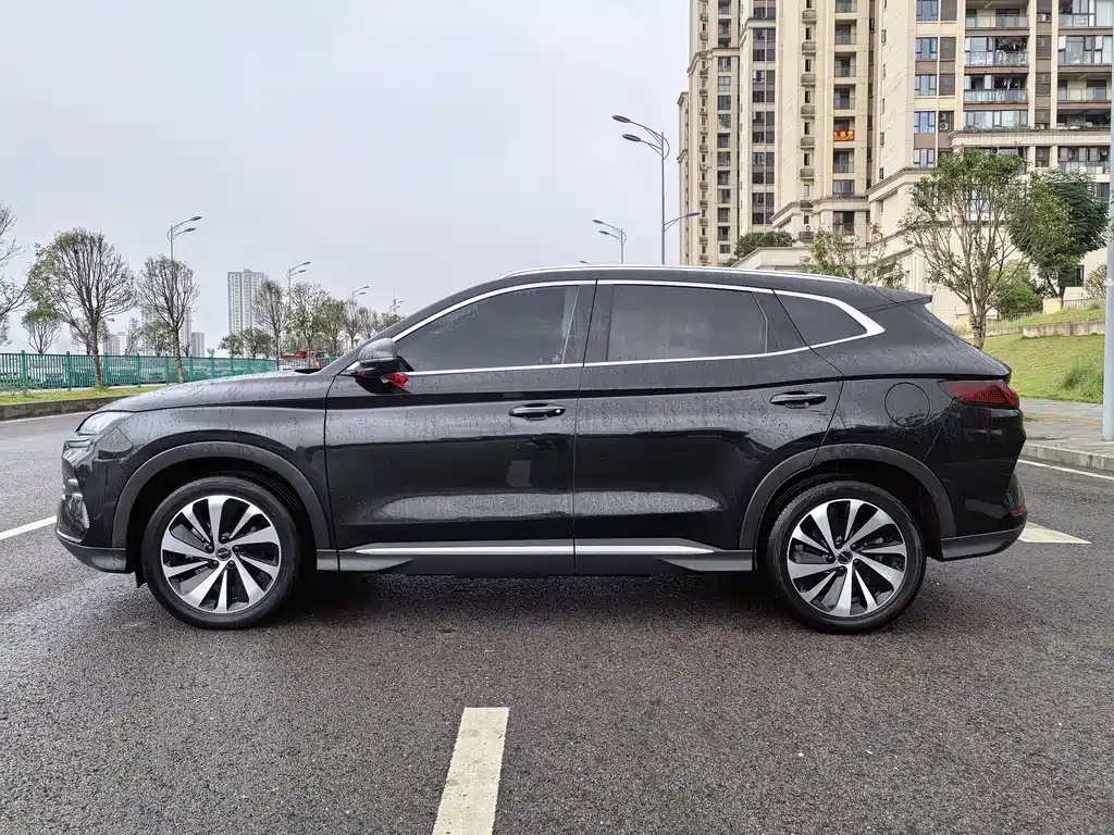BYD PLUS New Energy — миниатюра 7