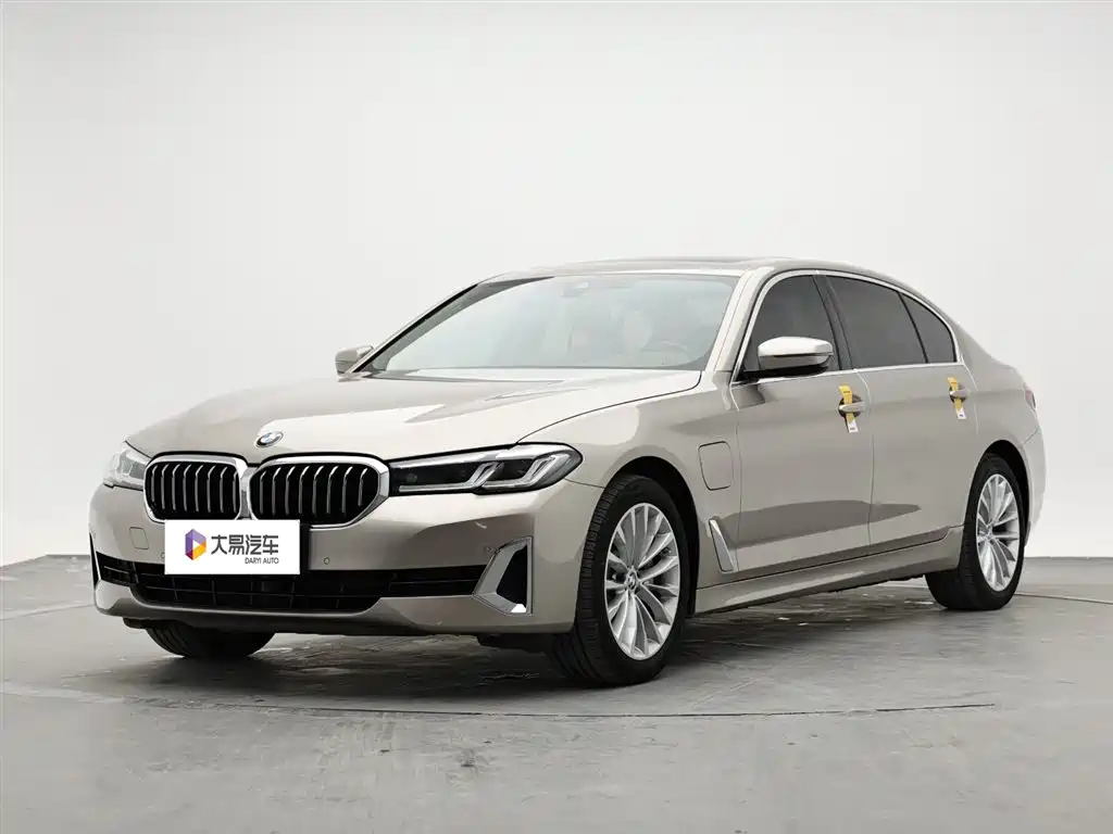 BMW 5 Series New Energy 2021