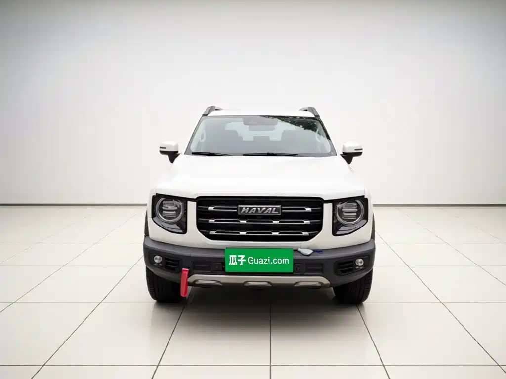 Haval Big Dog — миниатюра 2