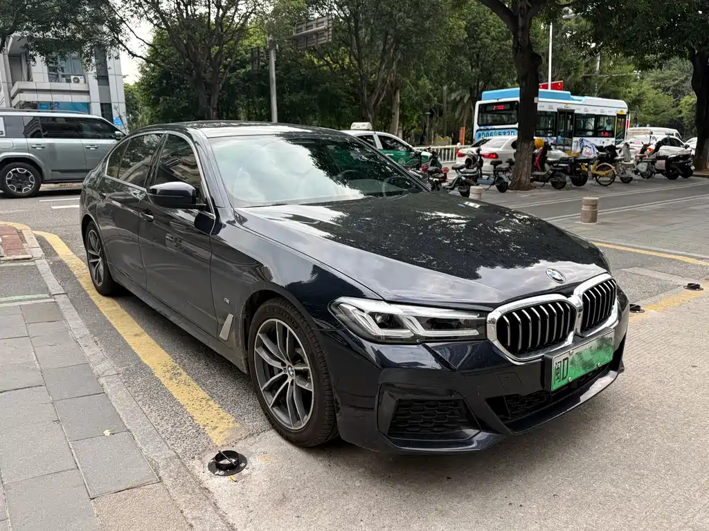 BMW 5 Series New Energy — миниатюра 3