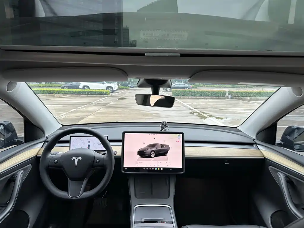 Tesla Model Y — миниатюра 14
