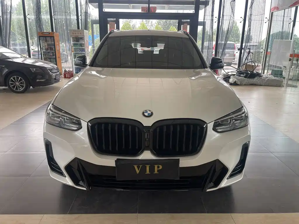 BMW X3 — миниатюра 2