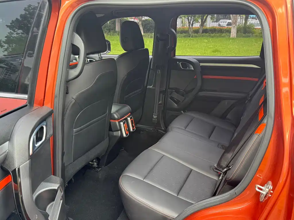 Haval Dargo 2.0T DCT 4WD Chinese Rural Dog Edition, фото 8