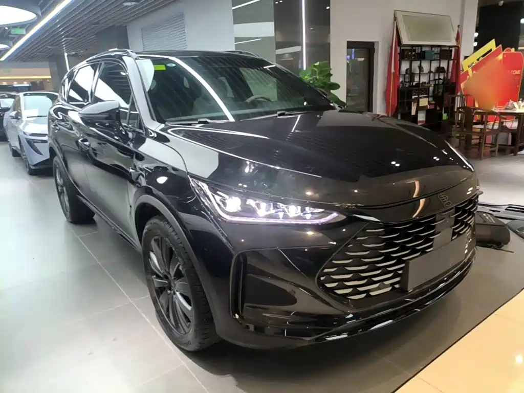 BYD Tang New Energy — миниатюра 22