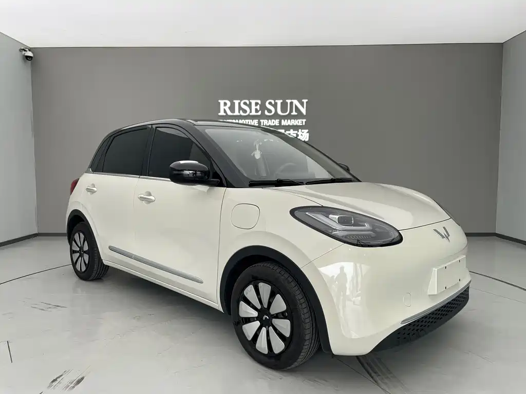 Wuling Binguo 2025 333km Enjoy