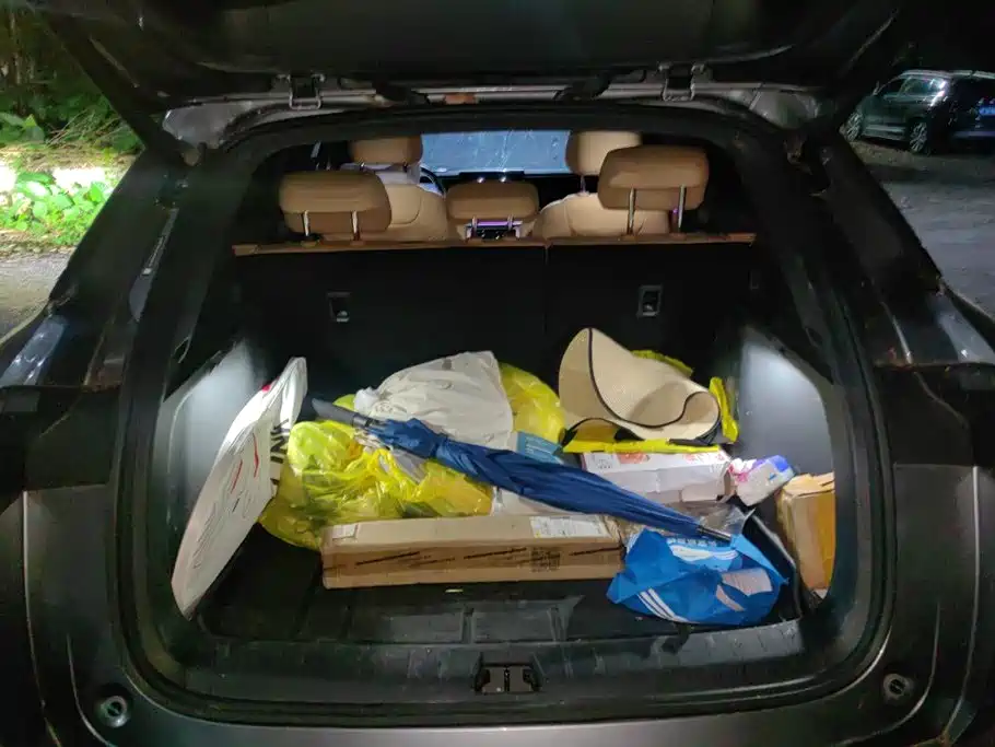 BYD L DM-i — миниатюра 4