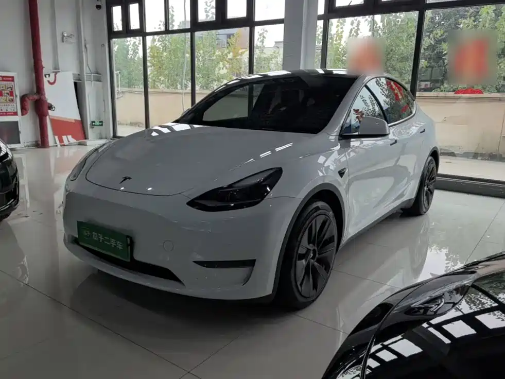 Tesla Model Y — миниатюра 2