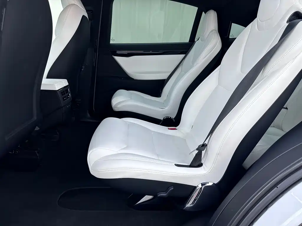 Tesla Model X — миниатюра 14