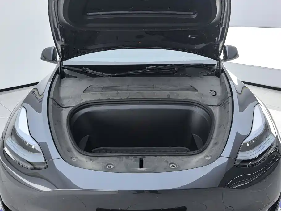 Tesla Model Y — миниатюра 10