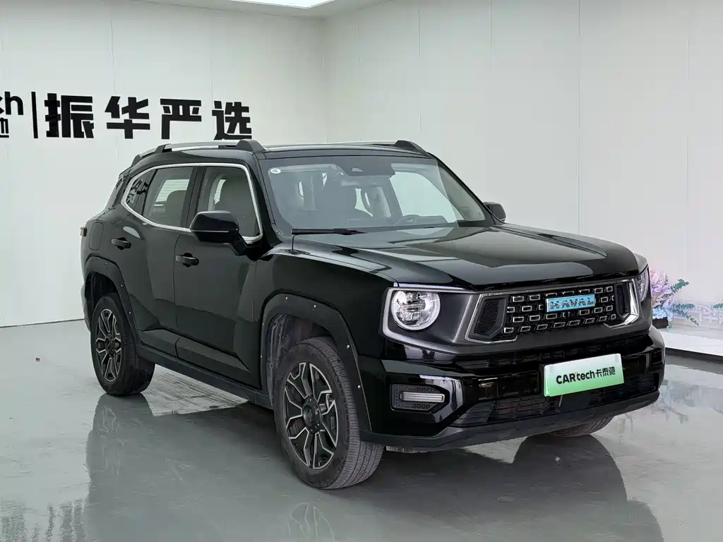 Haval Big Dog PLUS New Energy — миниатюра 3