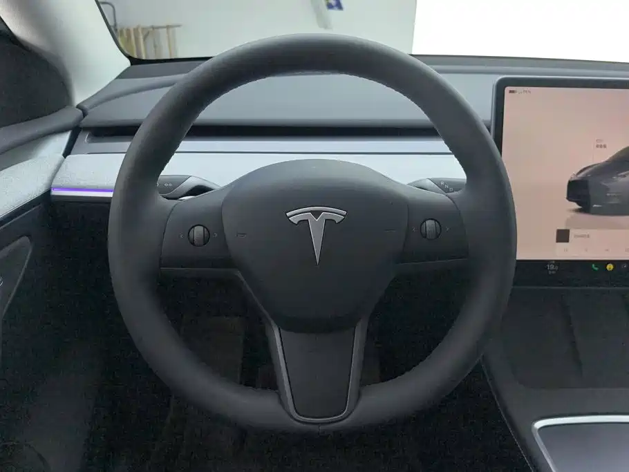 Tesla Model Y — миниатюра 15