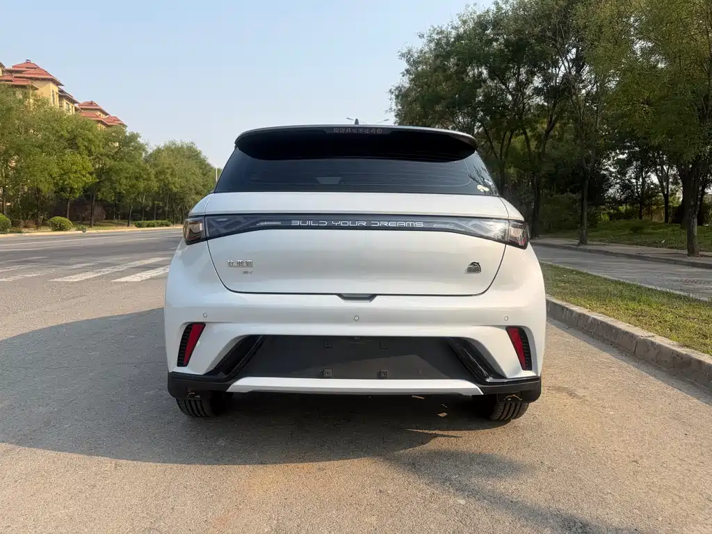BYD Dolphin — миниатюра 4