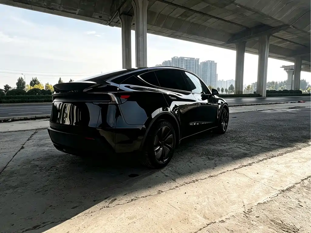 Tesla Model Y — миниатюра 4