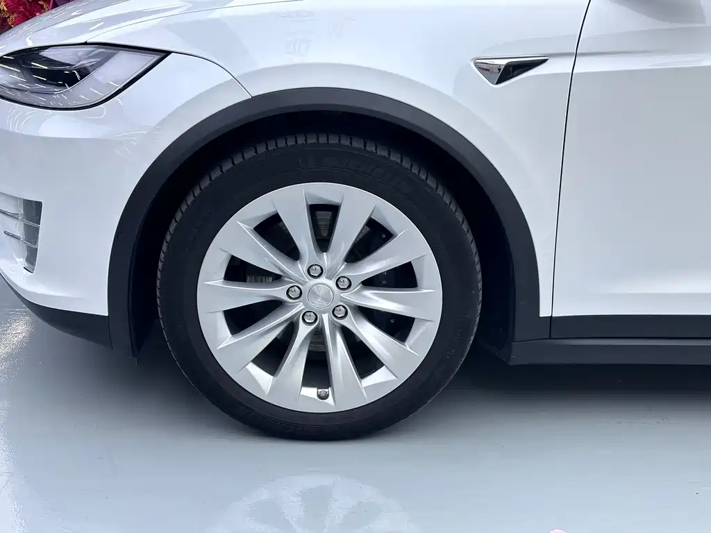 Tesla Model X — миниатюра 4