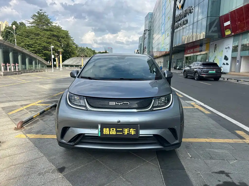 BYD Dolphin — миниатюра 2