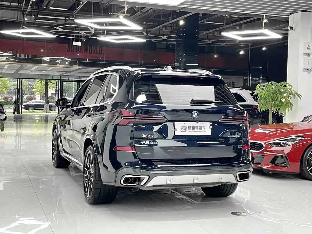 BMW X5 — миниатюра 11