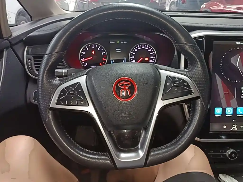 BYD MAX — миниатюра 11