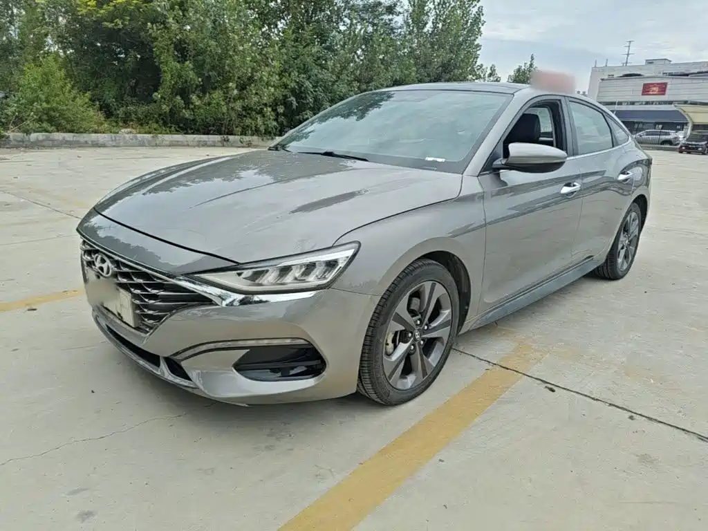 Hyundai Fista — миниатюра 2