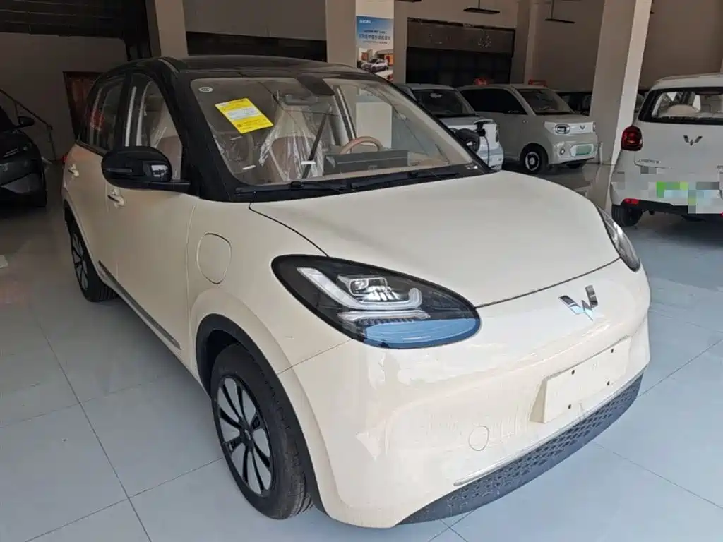 Wuling Binguo 2025 333km Enjoy