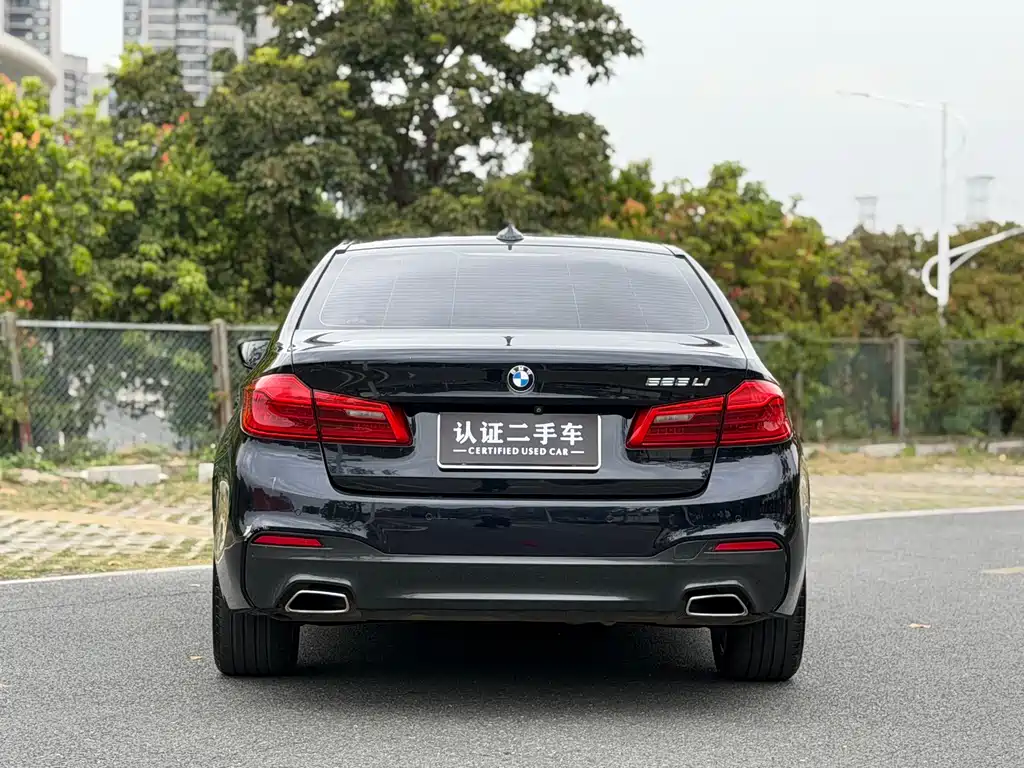 BMW 5 Series 5 2019 525Li M Sport