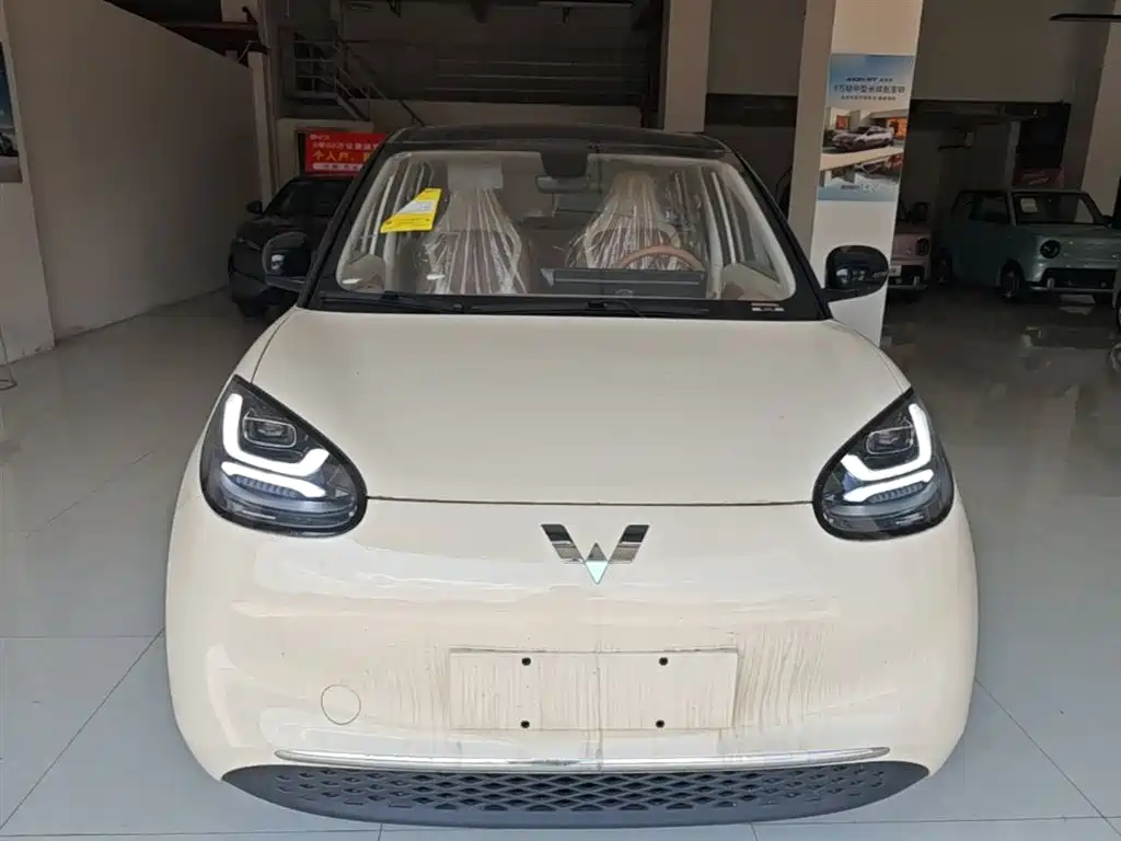 Wuling Binguo 2025 333km Enjoy