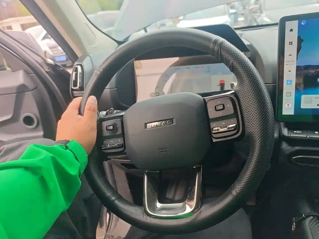 Haval Big Dog PLUS — миниатюра 11