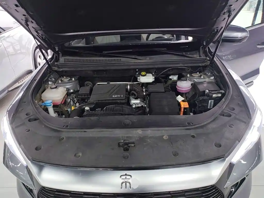 BYD Song Pro DM-i 2024 — фото 19