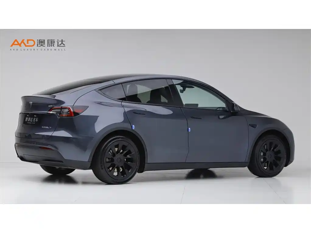 Tesla Model Y — миниатюра 3