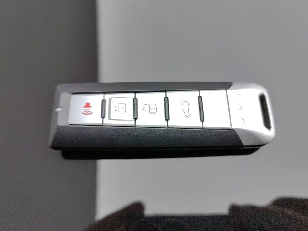 Wey Wey P8 — миниатюра 19