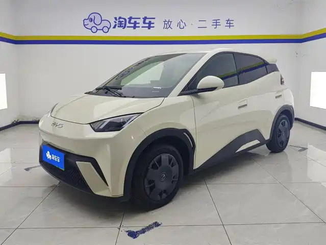 2024 BYD Seagull