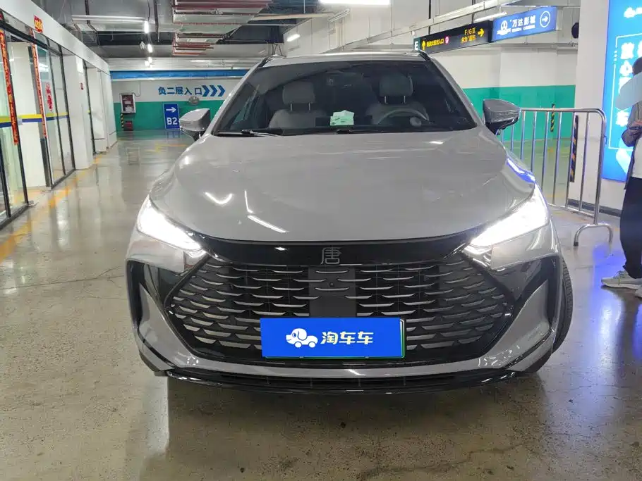 BYD Tang New Energy — миниатюра 2