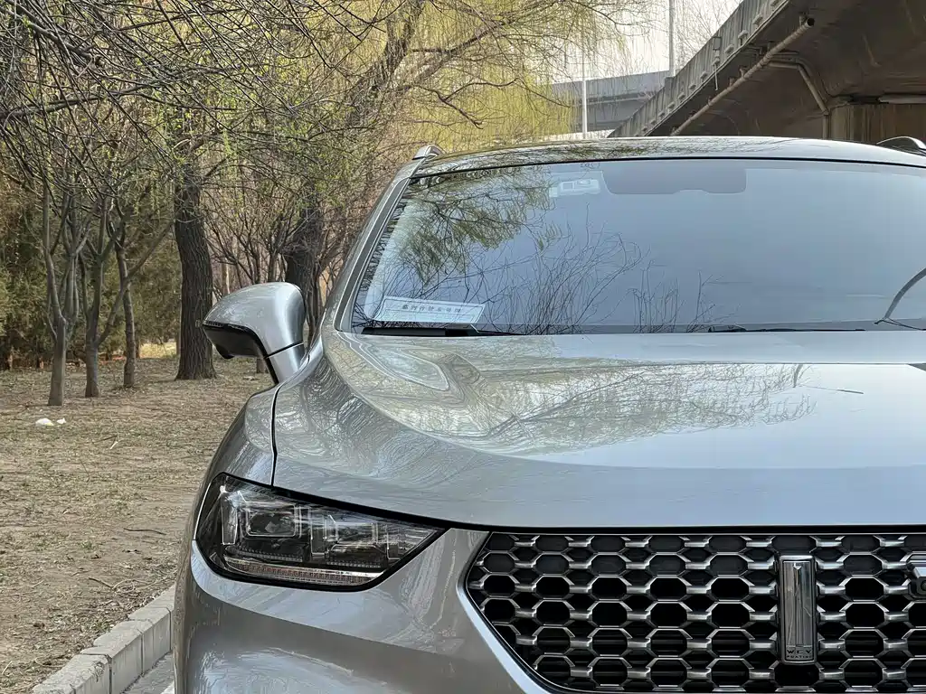 WEI PAI WEI BRAND VV5