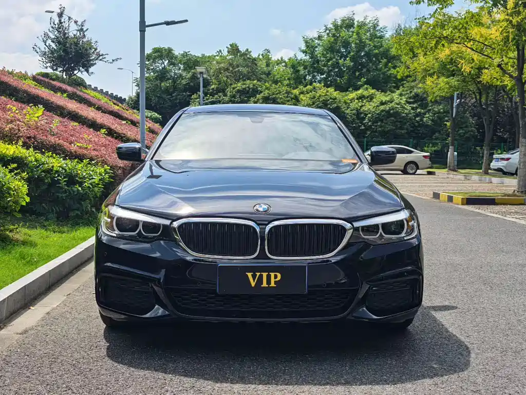 BMW 5 Series — миниатюра 2