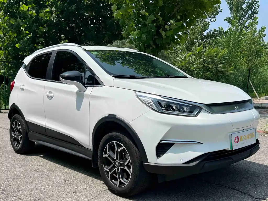 BYD Yuan Pro Pro 2021 401KM Luxury