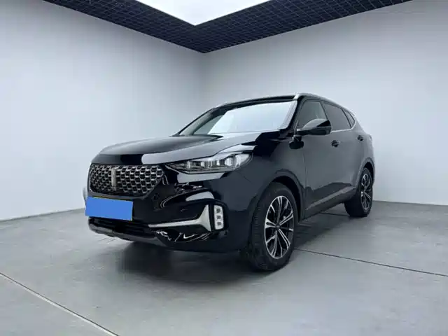 WEI PAI WEI BRAND VV6