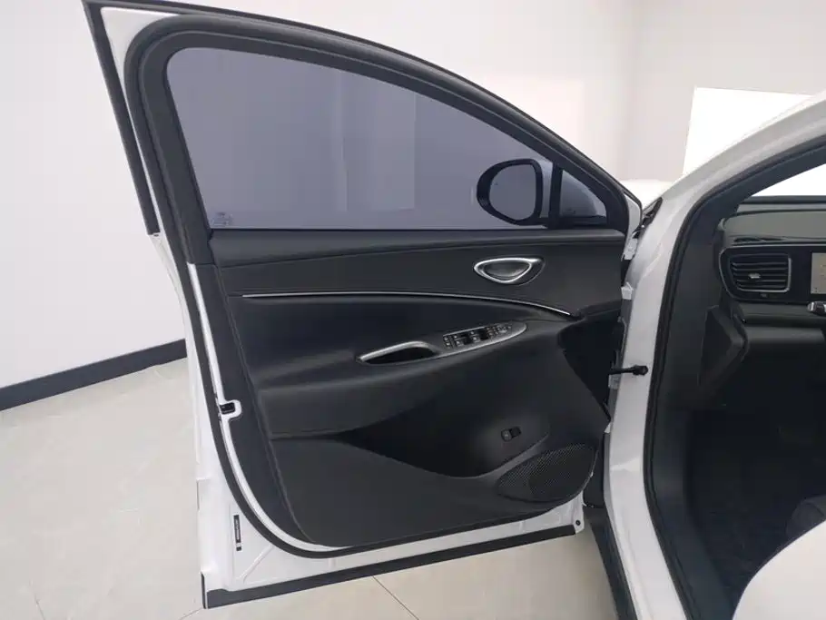 BYD Sealion 06 — миниатюра 7