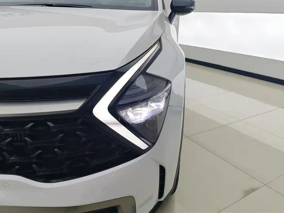 KIA LION PLATINUM EXPANDS THE WORLD