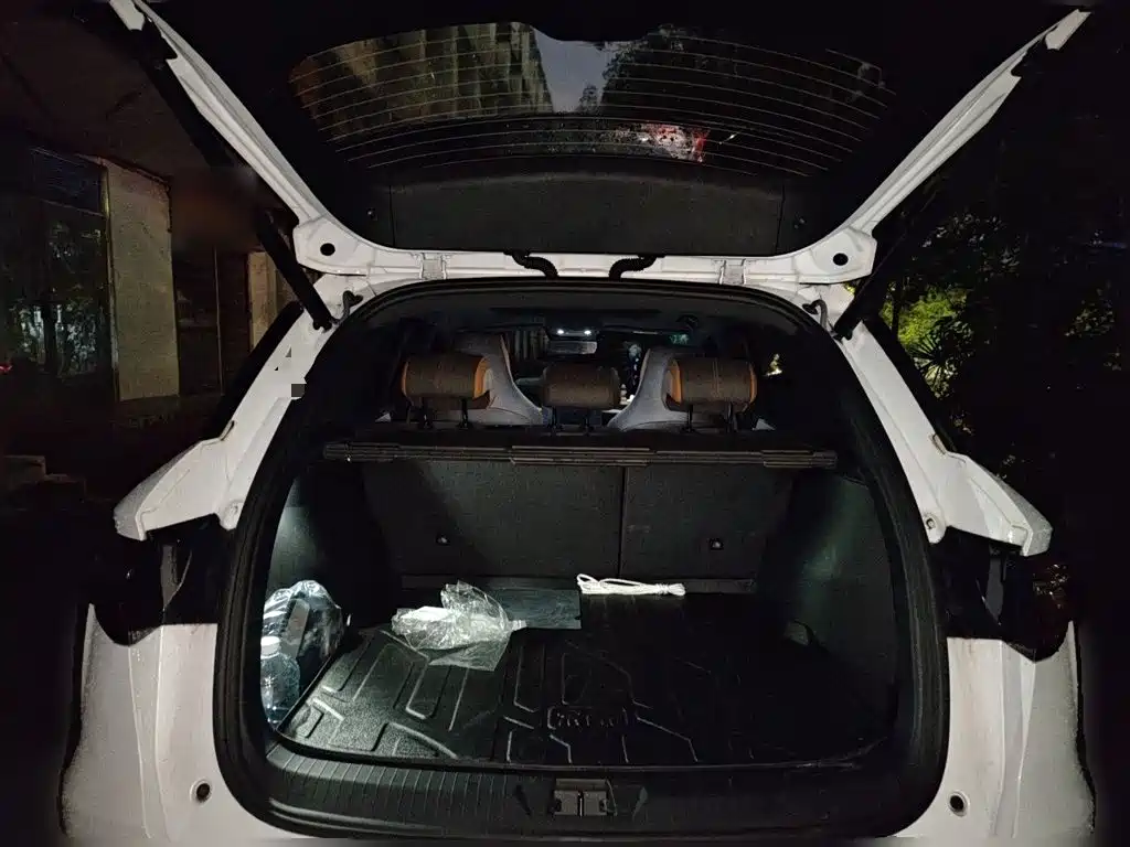 BYD Pro New Energy — миниатюра 15