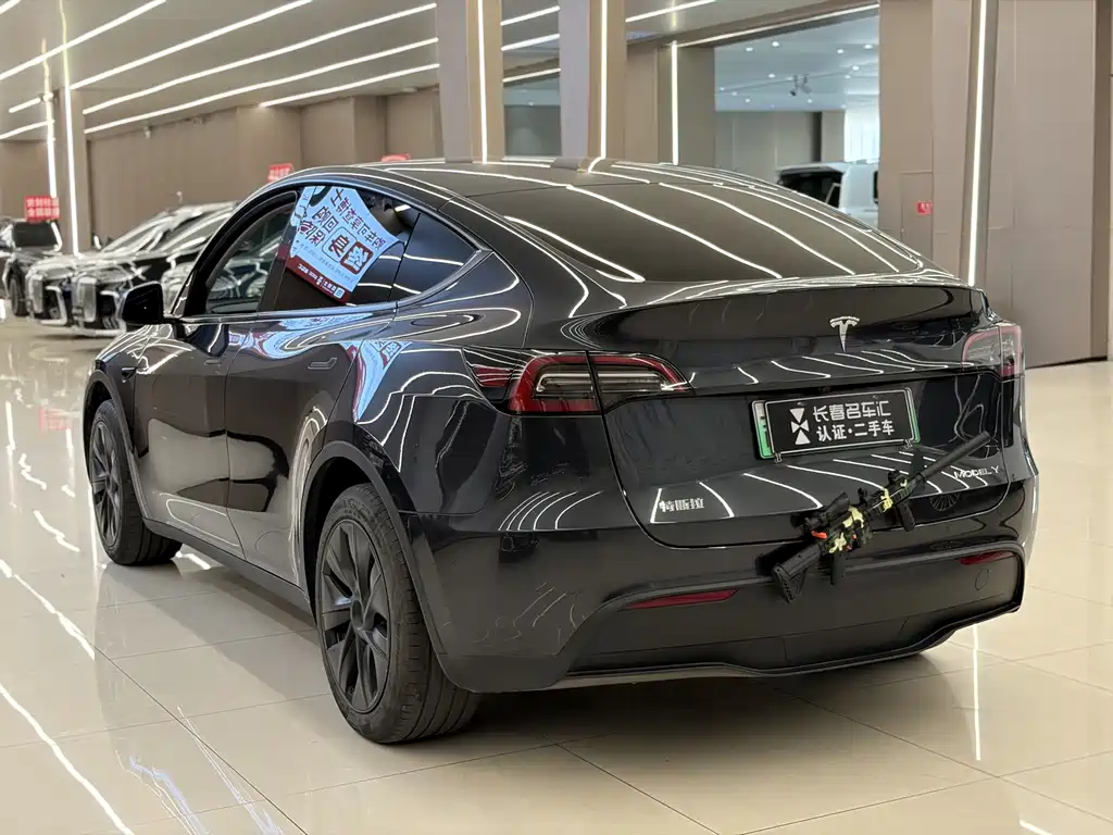 Tesla Model Y — миниатюра 6